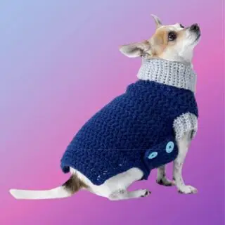Ribbed Dog Sweater