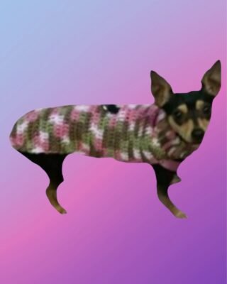 Dog Sweater with Tummy Strap and Leash Hole