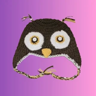 Owl Hat Handmade crochet owl hat with ear flaps, crocheted owl face and braided ties