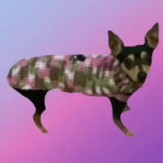 Crocheted dog sweater with buttoned tummy strap and leash opening for harness