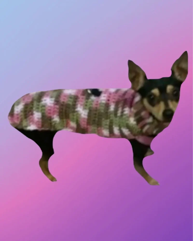 Crocheted dog sweater with buttoned tummy strap and leash opening for harness