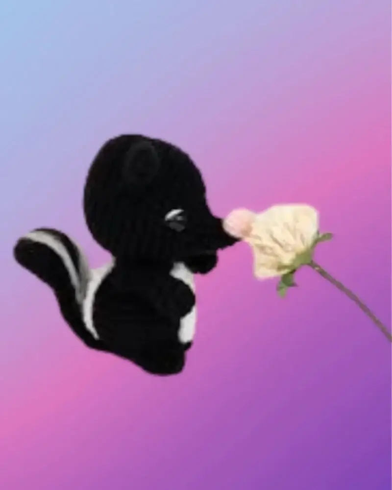 Sebastian the Skunk Crocheted Sebastian the Skunk woodland critter with black and white markings and curled tail